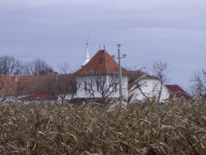  A kria Borovszky-ban lthat homlokzatnak mai ltkpe a park helyn ma kukorics van 
